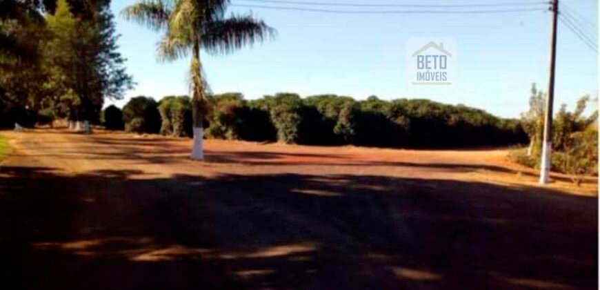 Fazenda de Café Toda Montada 1.460 hectares | Piumhi – MG