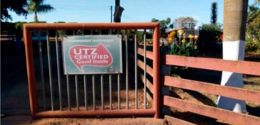 Fazenda de Café Toda Montada 1.460 hectares | Piumhi – MG