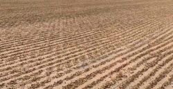 Fazenda de Café Toda Montada 1.460 hectares | Piumhi – MG