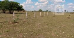 Fazenda 22.070 hectares com logística e áreas de pastos natural | Cáceres/ MT