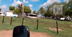 Fazenda 22.070 hectares com logística e áreas de pastos natural | Cáceres/ MT