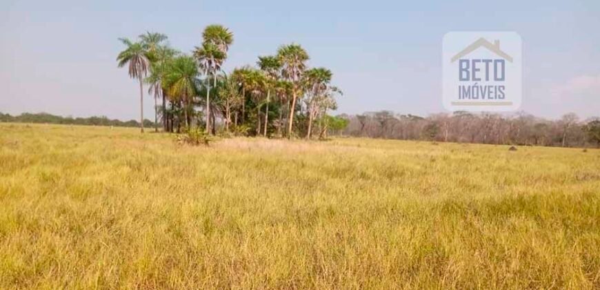 Fazenda 22.070 hectares com logística e áreas de pastos natural | Cáceres/ MT