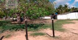 Fazenda 22.070 hectares com logística e áreas de pastos natural | Cáceres/ MT