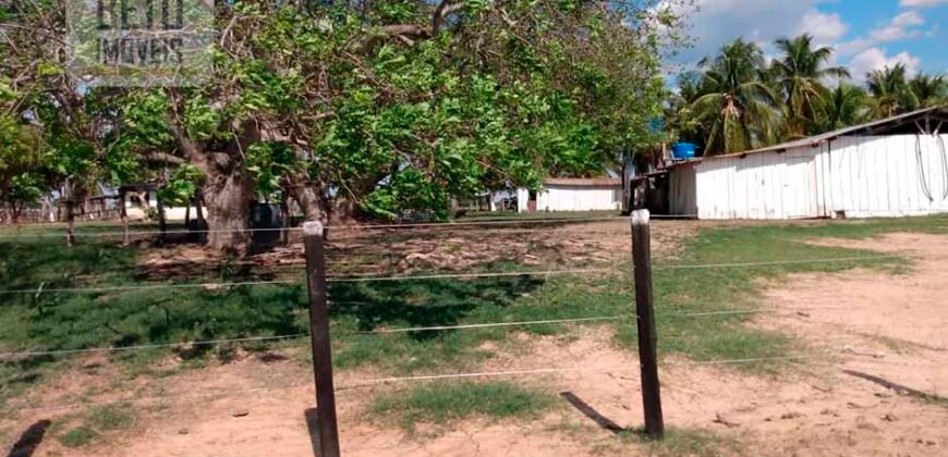 Fazenda 22.070 hectares com logística e áreas de pastos natural | Cáceres/ MT