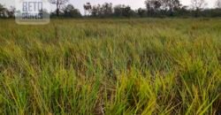 Fazenda 22.070 hectares com logística e áreas de pastos natural | Cáceres/ MT