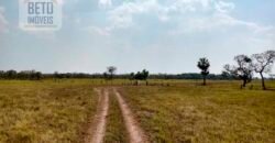Fazenda 22.070 hectares com logística e áreas de pastos natural | Cáceres/ MT