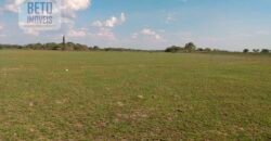 Fazenda 22.070 hectares com logística e áreas de pastos natural | Cáceres/ MT