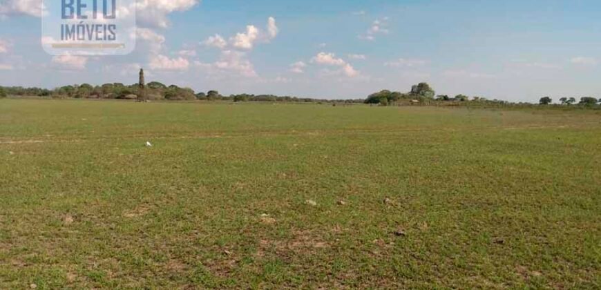 Fazenda 22.070 hectares com logística e áreas de pastos natural | Cáceres/ MT