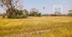 Fazenda 22.070 hectares com logística e áreas de pastos natural | Cáceres/ MT