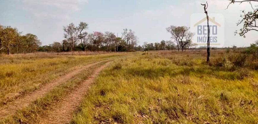 Fazenda 22.070 hectares com logística e áreas de pastos natural | Cáceres/ MT