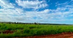 Fazenda com 2.200 hectares pronta para Pasto e lavoura | Guarantã do Norte/ MT