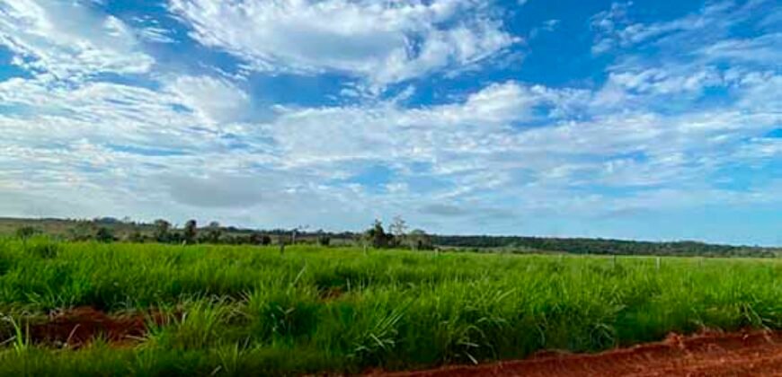 Fazenda com 2.200 hectares pronta para Pasto e lavoura | Guarantã do Norte/ MT
