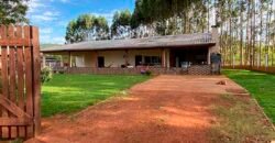 Fazenda com 2.200 hectares pronta para Pasto e lavoura | Guarantã do Norte/ MT