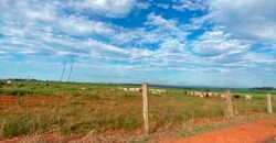 Fazenda com 2.200 hectares pronta para Pasto e lavoura | Guarantã do Norte/ MT