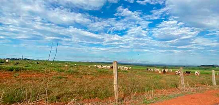 Fazenda com 2.200 hectares pronta para Pasto e lavoura | Guarantã do Norte/ MT