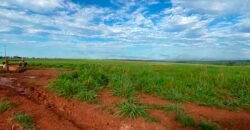 Fazenda com 2.200 hectares pronta para Pasto e lavoura | Guarantã do Norte/ MT