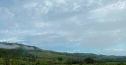 Fazenda com 2.200 hectares pronta para Pasto e lavoura | Guarantã do Norte/ MT