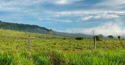Fazenda com 2.200 hectares pronta para Pasto e lavoura | Guarantã do Norte/ MT