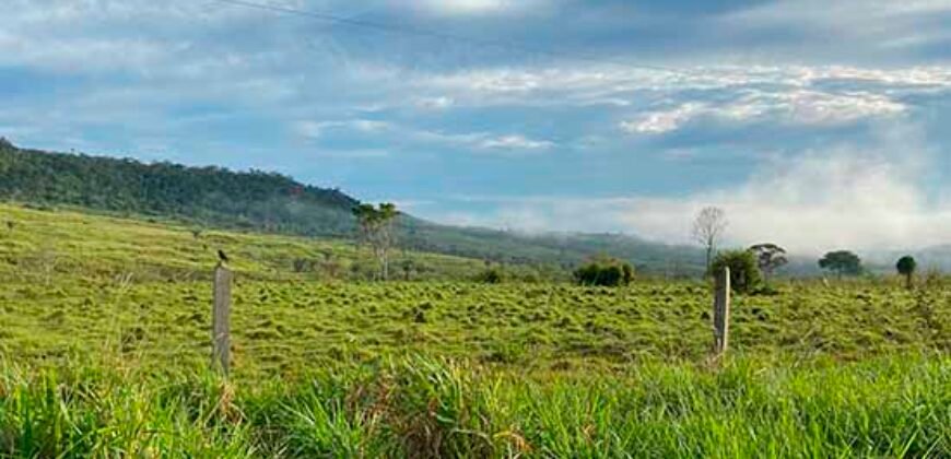 Fazenda com 2.200 hectares pronta para Pasto e lavoura | Guarantã do Norte/ MT