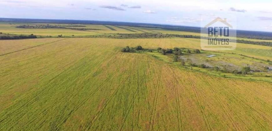 Fazenda c/ benfeitorias 1.360 alqueires sede c/ 3 Quartos e 1 suíte | Cocalinho – MT Fazenda c/ benfeitorias 1.360 alqueires sede c/ 3 Quartos e 1 suíte | Cocalinho – MT