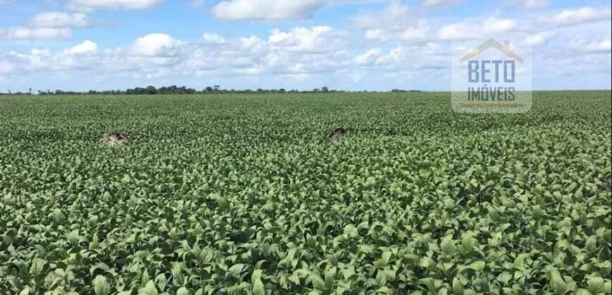 Fazenda c/ benfeitorias 1.360 alqueires sede c/ 3 Quartos e 1 suíte | Cocalinho – MT Fazenda c/ benfeitorias 1.360 alqueires sede c/ 3 Quartos e 1 suíte | Cocalinho – MT