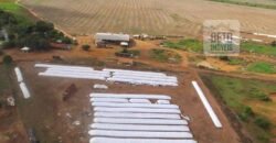 Fazenda c/ benfeitorias 1.360 alqueires sede c/ 3 Quartos e 1 suíte | Cocalinho – MT Fazenda c/ benfeitorias 1.360 alqueires sede c/ 3 Quartos e 1 suíte | Cocalinho – MT