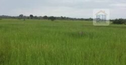 Fazenda c/ benfeitorias 1.360 alqueires sede c/ 3 Quartos e 1 suíte | Cocalinho – MT Fazenda c/ benfeitorias 1.360 alqueires sede c/ 3 Quartos e 1 suíte | Cocalinho – MT