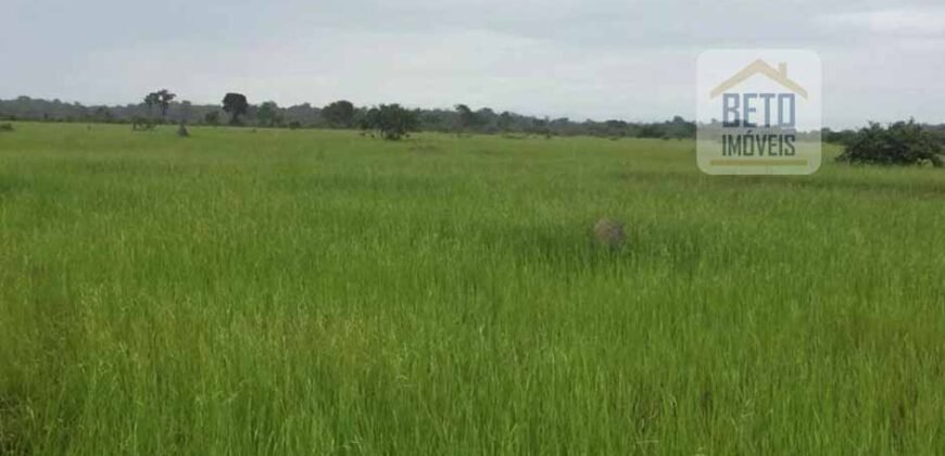 Fazenda c/ benfeitorias 1.360 alqueires sede c/ 3 Quartos e 1 suíte | Cocalinho – MT Fazenda c/ benfeitorias 1.360 alqueires sede c/ 3 Quartos e 1 suíte | Cocalinho – MT