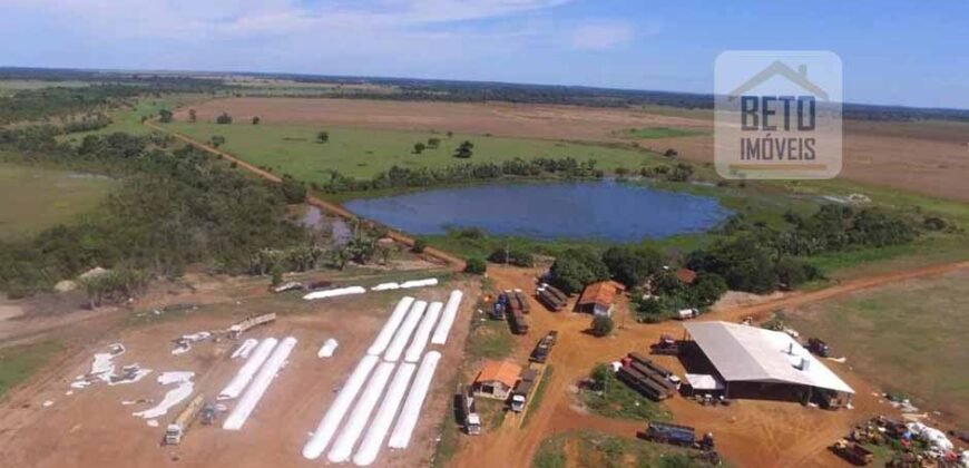 Fazenda c/ benfeitorias 1.360 alqueires sede c/ 3 Quartos e 1 suíte | Cocalinho – MT Fazenda c/ benfeitorias 1.360 alqueires sede c/ 3 Quartos e 1 suíte | Cocalinho – MT