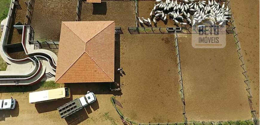 Excelente Fazenda em atividade dupla aptidão gado e lavoura | São Miguel do Araguaia/ GO