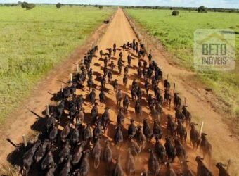 Excelente Fazenda em atividade dupla aptidão gado e lavoura | São Miguel do Araguaia/ GO Excelente Fazenda em atividade dupla aptidão gado e lavoura | São Miguel do Araguaia/ GO