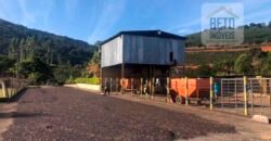 Fazenda de Café estrutura completa e 348 hectares | Região Manhuaçu/ MG