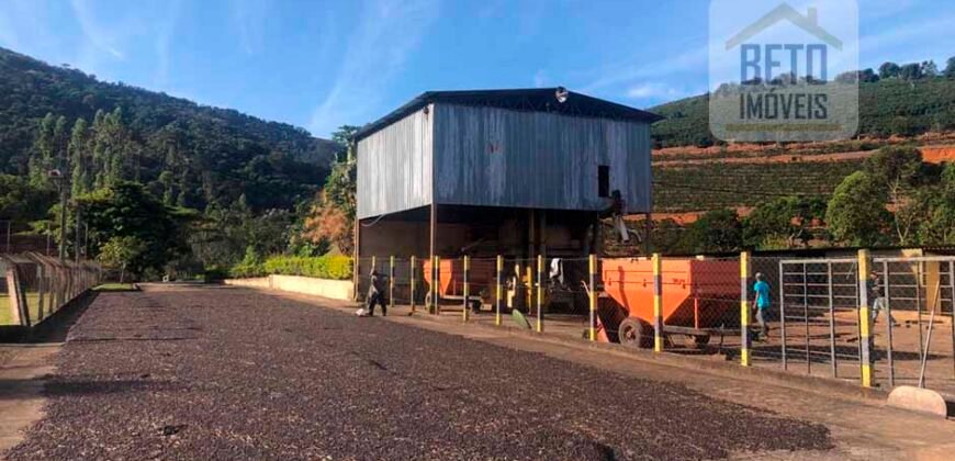 Fazenda de Café estrutura completa e 348 hectares | Região Manhuaçu/ MG