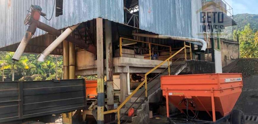 Fazenda de Café estrutura completa e 348 hectares | Região Manhuaçu/ MG