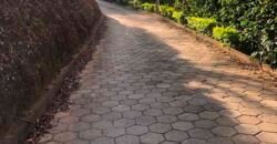 Fazenda de Café estrutura completa e 348 hectares | Região Manhuaçu/ MG