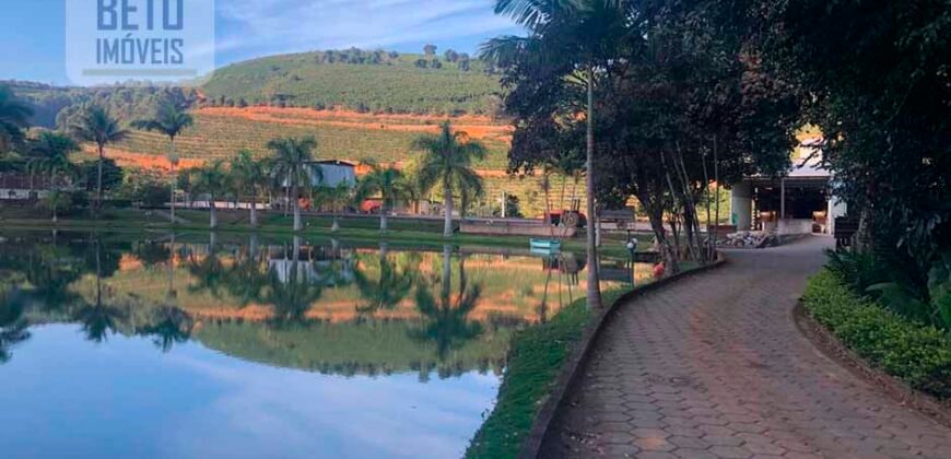 Fazenda de Café estrutura completa e 348 hectares | Região Manhuaçu/ MG
