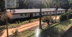 Fazenda de Café estrutura completa e 348 hectares | Região Manhuaçu/ MG