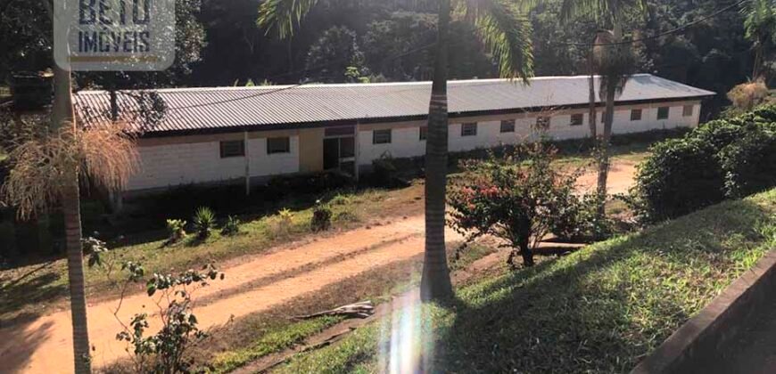 Fazenda de Café estrutura completa e 348 hectares | Região Manhuaçu/ MG