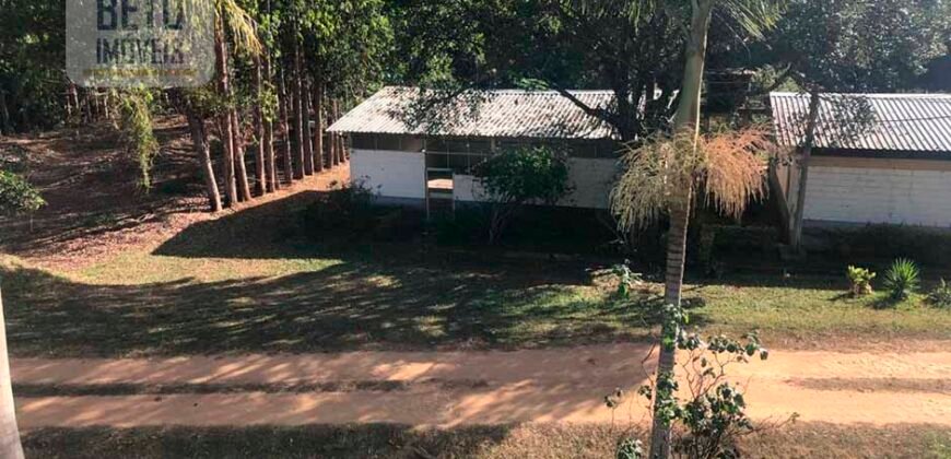 Fazenda de Café estrutura completa e 348 hectares | Região Manhuaçu/ MG