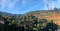 Fazenda de Café estrutura completa e 348 hectares | Região Manhuaçu/ MG