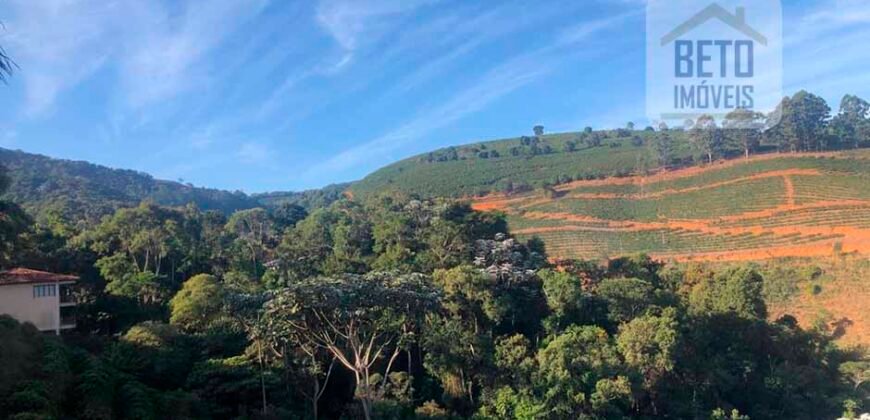 Fazenda de Café estrutura completa e 348 hectares | Região Manhuaçu/ MG