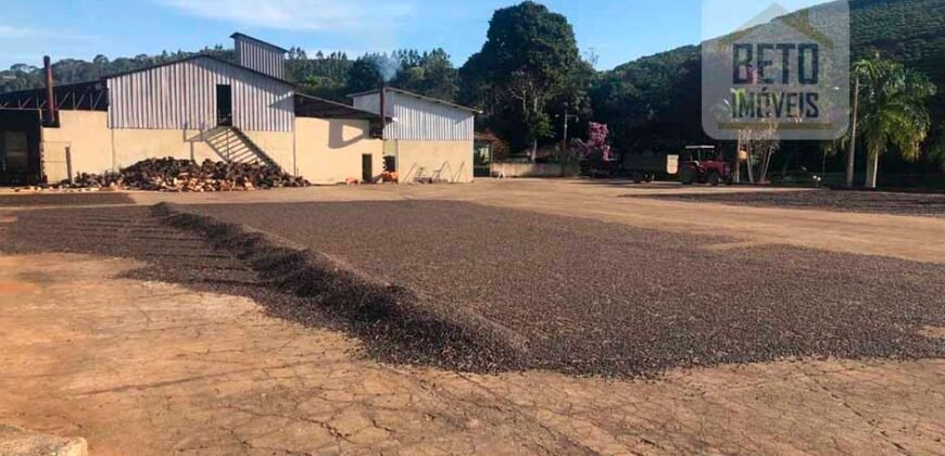 Fazenda de Café estrutura completa e 348 hectares | Região Manhuaçu/ MG