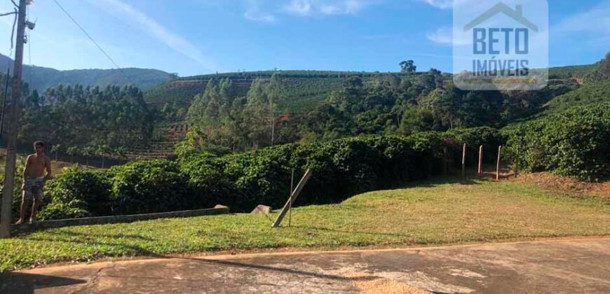 Fazenda de Café estrutura completa e 348 hectares | Região Manhuaçu/ MG