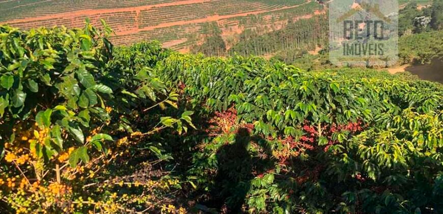 Fazenda de Café estrutura completa e 348 hectares | Região Manhuaçu/ MG