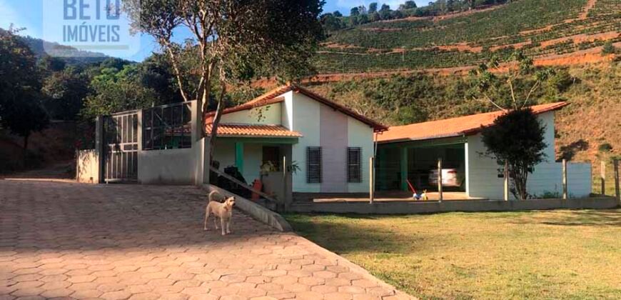 Fazenda de Café estrutura completa e 348 hectares | Região Manhuaçu/ MG