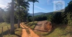 Fazenda de Café estrutura completa e 348 hectares | Região Manhuaçu/ MG