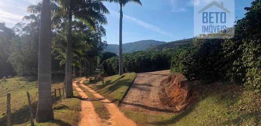 Fazenda de Café estrutura completa e 348 hectares | Região Manhuaçu/ MG