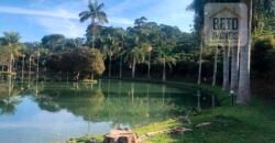 Fazenda de Café estrutura completa e 348 hectares | Região Manhuaçu/ MG