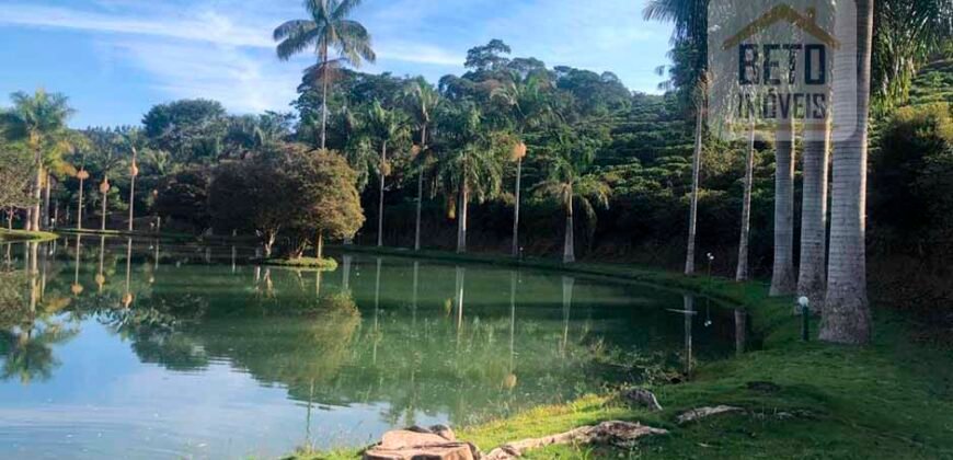 Fazenda de Café estrutura completa e 348 hectares | Região Manhuaçu/ MG
