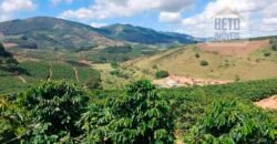 Fazenda Lavoura de Café com 78 hectares e área de pasto | Caputira/ MG